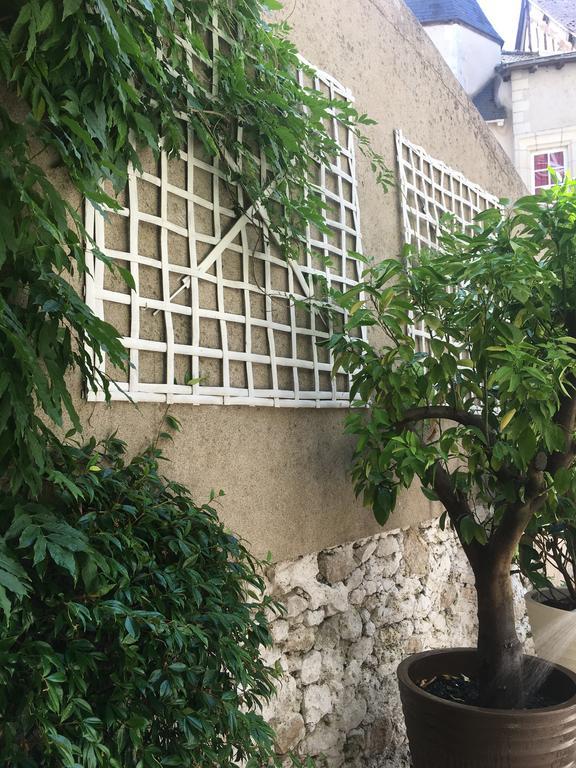 Maison Josephine Avec Garage Prive Blois Ngoại thất bức ảnh